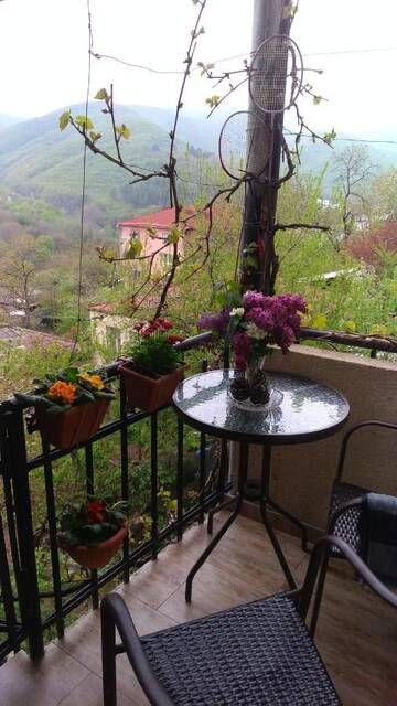 Фотографии Гостевой дом Cherqe Guest House г. Сигнахи (Грузия) №1 Фото Гостевой дом Cherqe Guest House г. Сигнахи 1