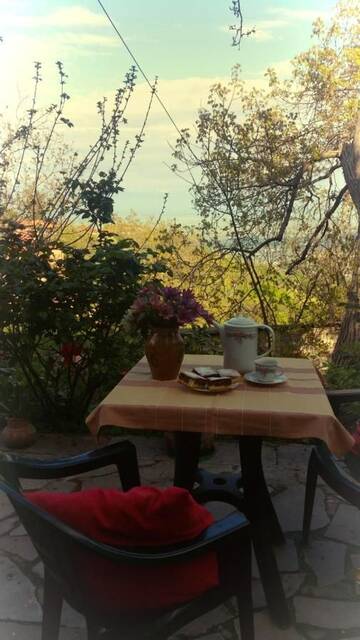 Фотографии Гостевой дом Guest house Evdoshvili St N5 г. Сигнахи (Грузия) №3 Фото Гостевой дом Guest house Evdoshvili St N5 г. Сигнахи 3