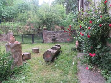 Фотографии Гостевой дом Guest House Kamea г. Сигнахи (Грузия) №4 Фото Гостевой дом Guest House Kamea г. Сигнахи 4