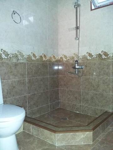 Фото номера Двухместный номер Делюкс с 1 кроватью и ванной Гостевой дом Guest House Maria г. Сигнахи 10