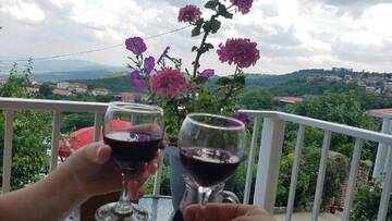 Фото номера Двухместный номер с 1 кроватью и видом на горы Гостевой дом Guest House Maria г. Сигнахи 13