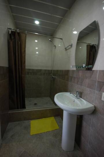 Фото номера Двухместный номер с 1 кроватью и видом на горы Гостевой дом Guest House Aisi г. Сигнахи 15