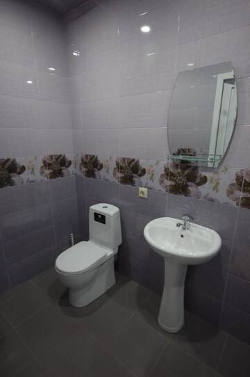 Фото номера Двухместный номер Делюкс с 1 кроватью и душем Гостевой дом Guest House Aisi г. Сигнахи 5