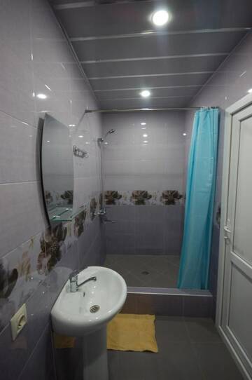 Фото номера Двухместный номер Делюкс с 1 кроватью и душем Гостевой дом Guest House Aisi г. Сигнахи 6