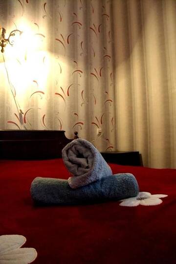 Фото номера Двухместный номер с 1 кроватью Гостевой дом Guest house Evdoshvili St N5 г. Сигнахи 3
