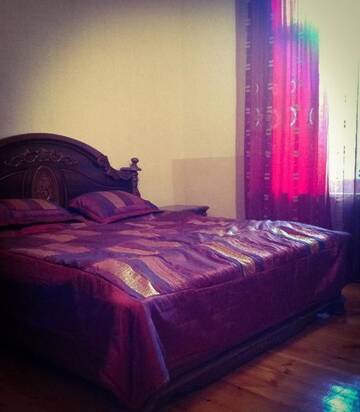 Фото номера Двухместный номер с 1 кроватью Гостевой дом Lelis Guest House г. Сигнахи 33