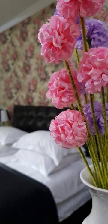 Фото номера Двухместный номер Делюкс с 1 кроватью и душем Гостевой дом Shios Guest House г. Сигнахи 3