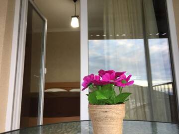 Фото номера Двухместный номер с 1 кроватью и балконом Гостевой дом Guest House Maradona г. Сигнахи 22