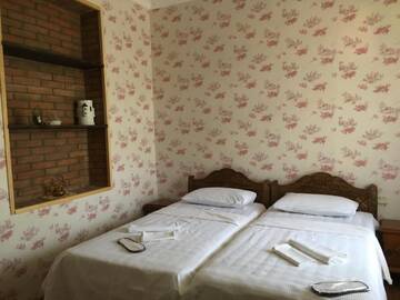 Фото номера Стандартный двухместный номер с 1 кроватью Гостевой дом Guest House Happy Holiday г. Сигнахи 4