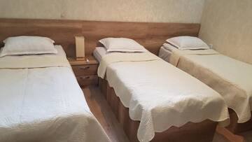 Фото номера Трехместный номер с собственной ванной комнатой Отель Hotel Traveler г. Сигнахи 2