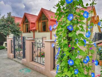 Фото Проживание в семье Favourite г. Сигнахи 5